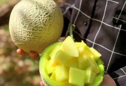 娱乐圈吃瓜橙子