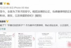 演员妻子爆料视频播放网站,视频播放网站背后的惊人内幕
