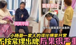 小杨哥爆料日常视频大全,揭秘生活百态，笑料横生