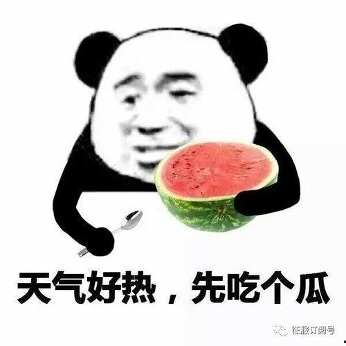 怎么回复吃瓜的表情